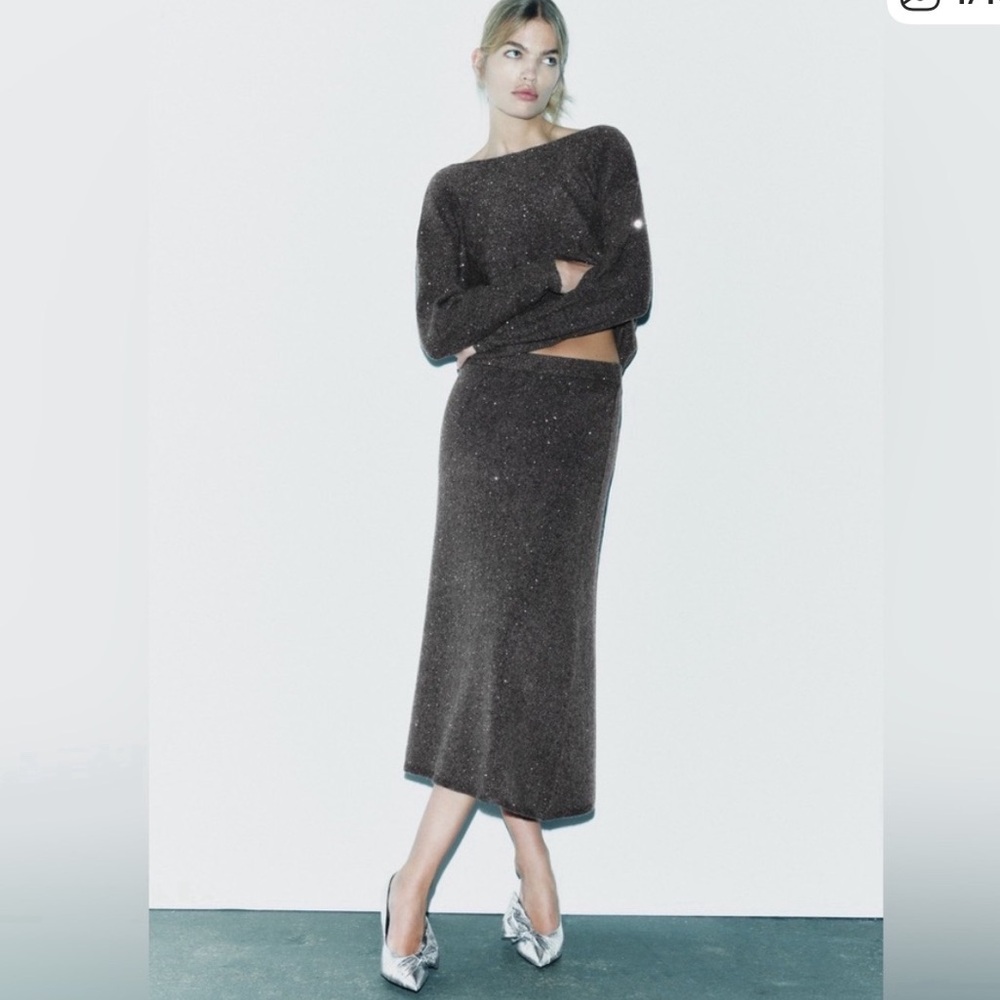 Zara knitted sequine midi skirt.